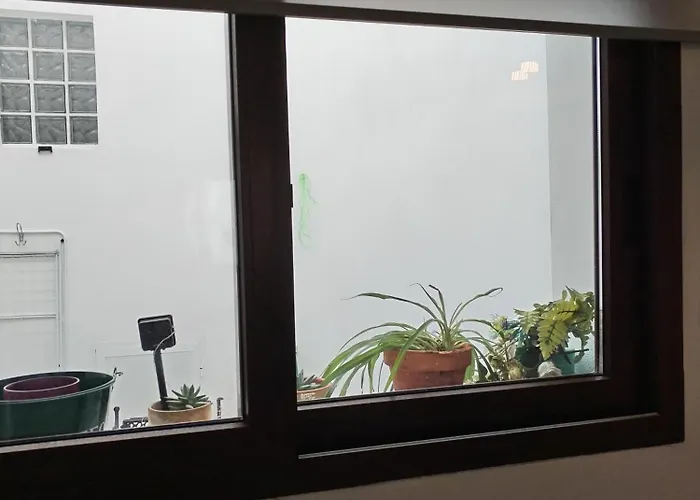 Patio & Sherry Jerez de la Frontera