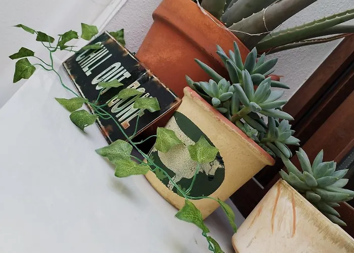 Patio & Sherry Apartment Jerez de la Frontera